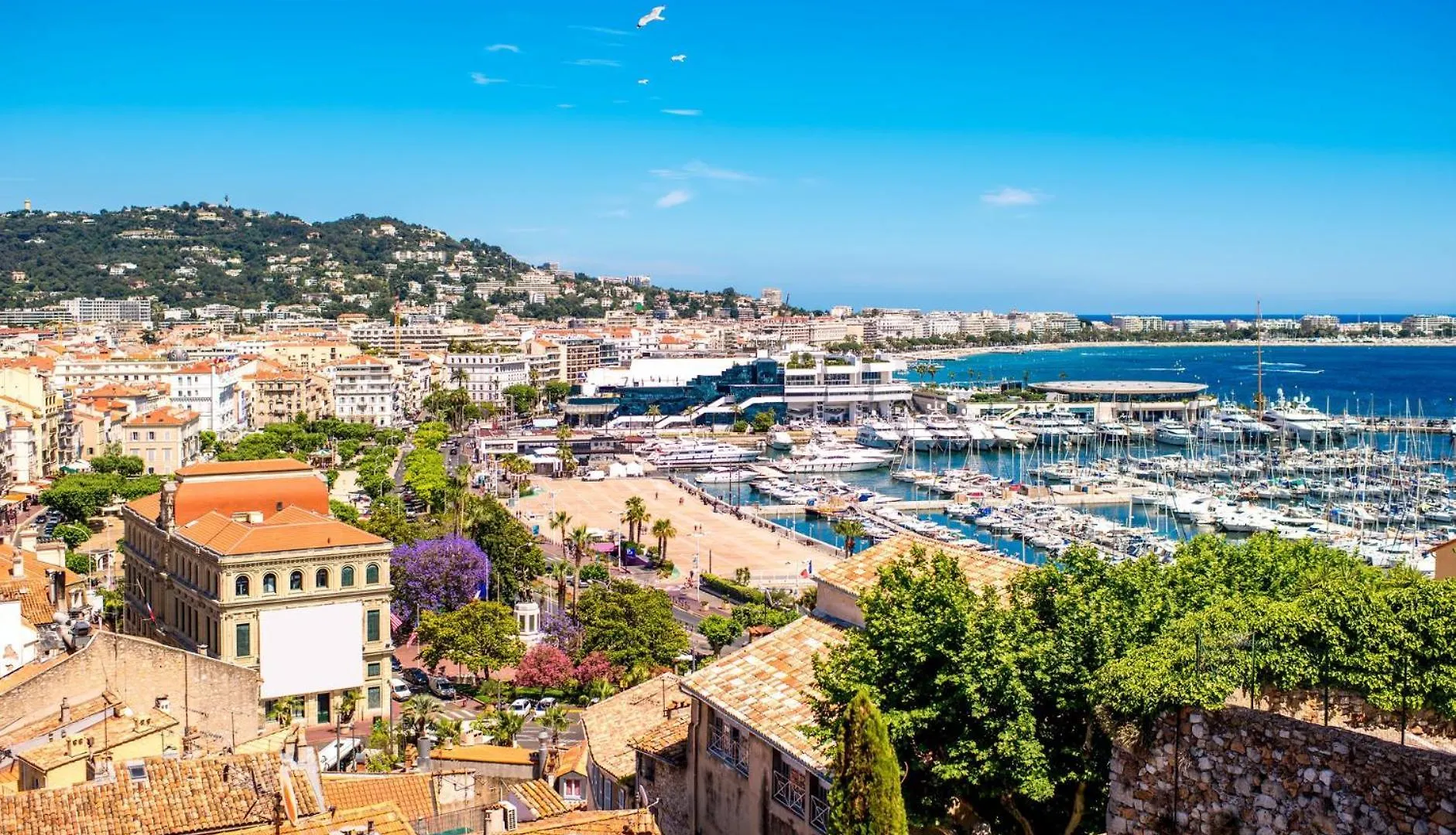 Sta4 Le Suquet, Proche Mer Et Palais Des Congres Cannes